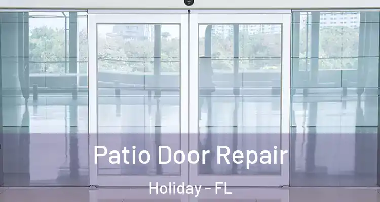  Patio Door Repair Holiday - FL