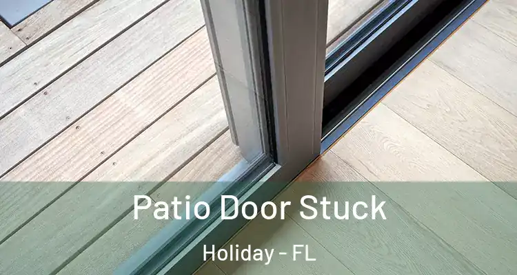  Patio Door Stuck Holiday - FL