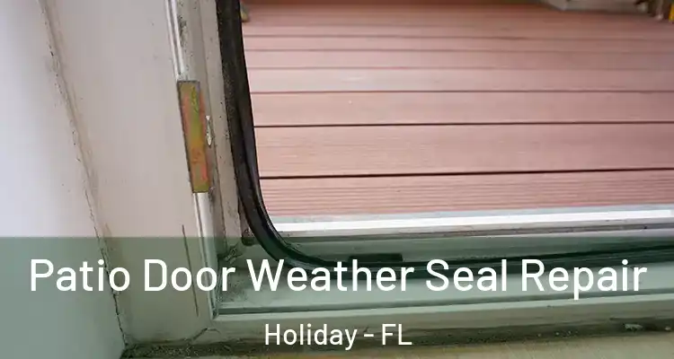  Patio Door Weather Seal Repair Holiday - FL