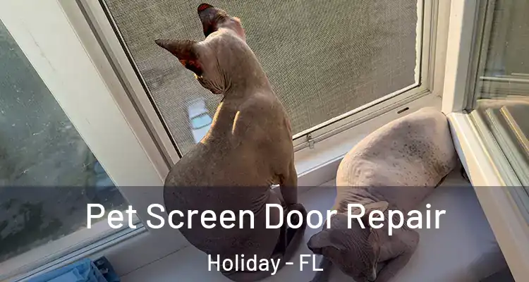  Pet Screen Door Repair Holiday - FL