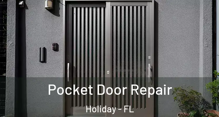  Pocket Door Repair Holiday - FL