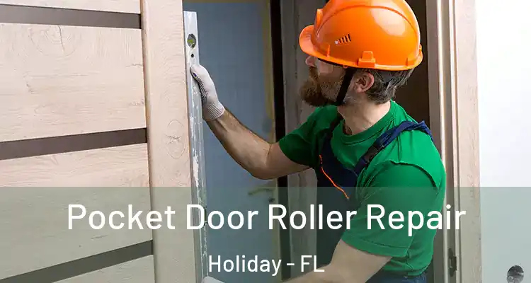  Pocket Door Roller Repair Holiday - FL
