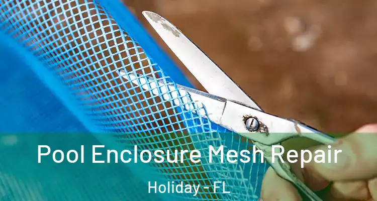  Pool Enclosure Mesh Repair Holiday - FL