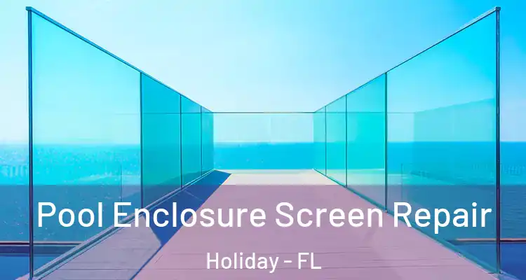  Pool Enclosure Screen Repair Holiday - FL