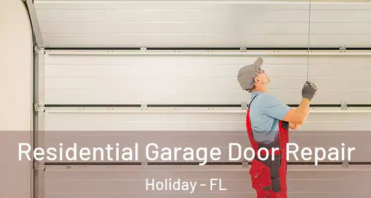  Residential Garage Door Repair Holiday - FL