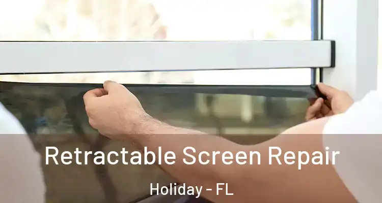  Retractable Screen Repair Holiday - FL