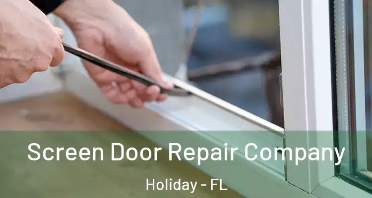 Screen Door Repair Company Holiday - FL