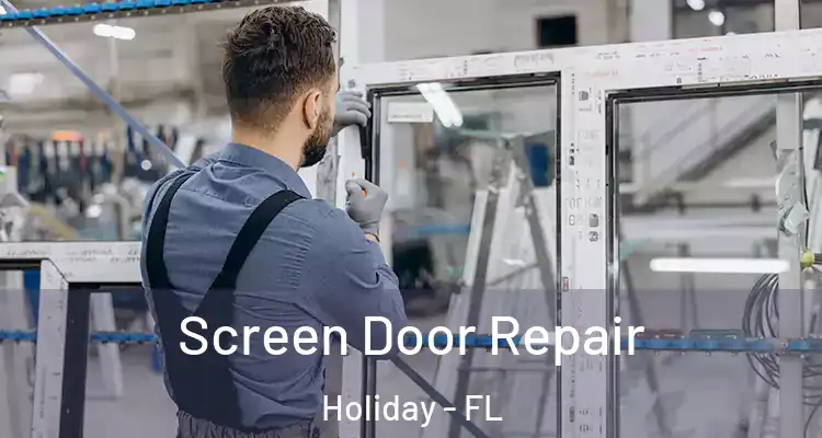  Screen Door Repair Holiday - FL