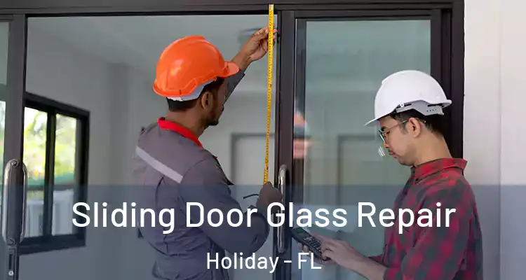  Sliding Door Glass Repair Holiday - FL