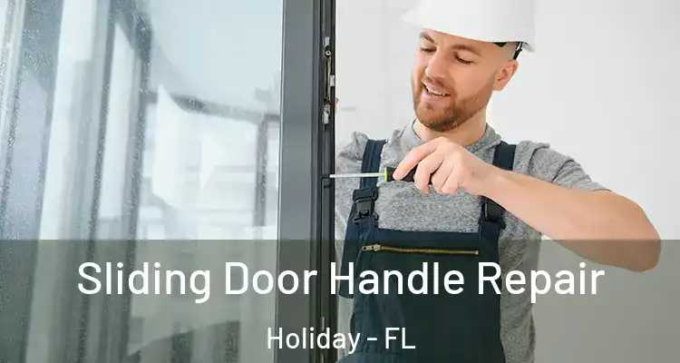  Sliding Door Handle Repair Holiday - FL