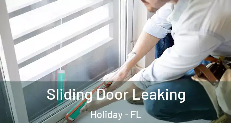  Sliding Door Leaking Holiday - FL