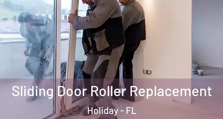  Sliding Door Roller Replacement Holiday - FL