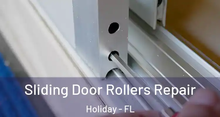  Sliding Door Rollers Repair Holiday - FL