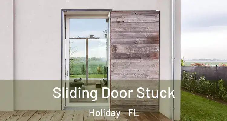  Sliding Door Stuck Holiday - FL