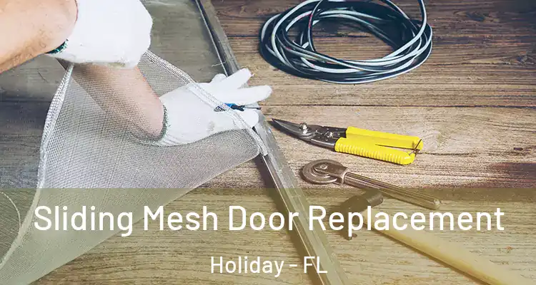  Sliding Mesh Door Replacement Holiday - FL