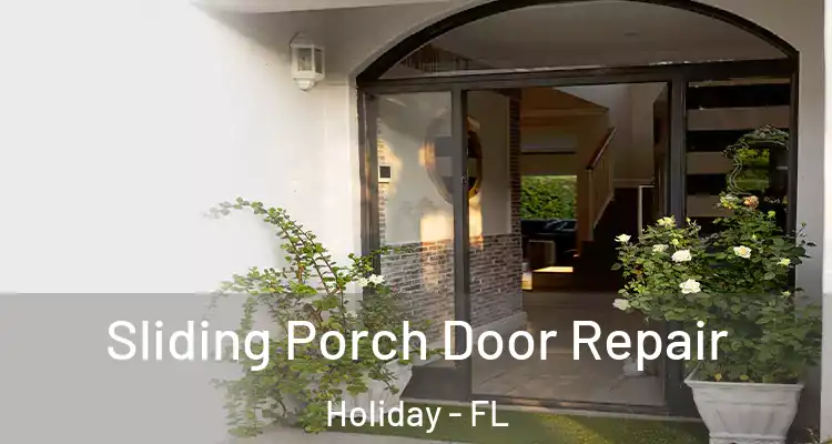  Sliding Porch Door Repair Holiday - FL