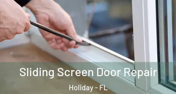  Sliding Screen Door Repair Holiday - FL