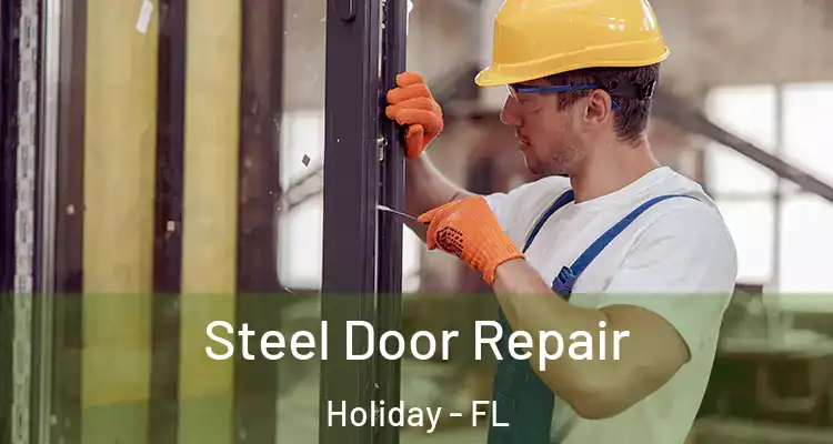  Steel Door Repair Holiday - FL