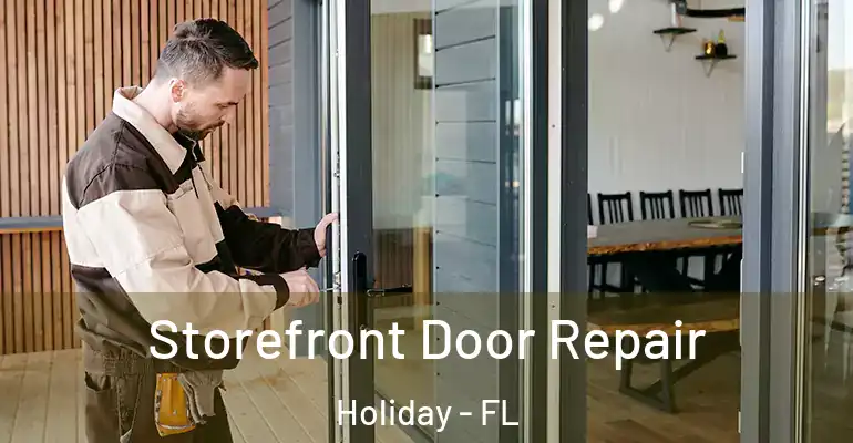  Storefront Door Repair Holiday - FL