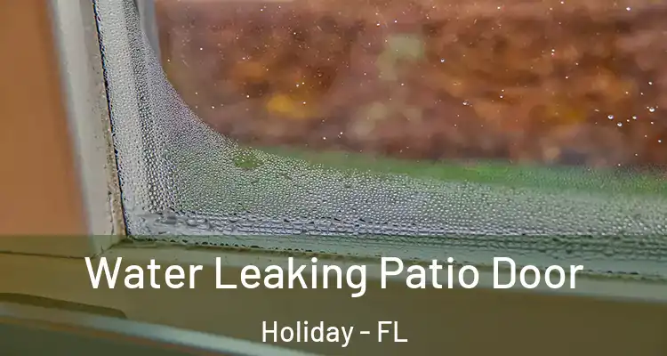  Water Leaking Patio Door Holiday - FL
