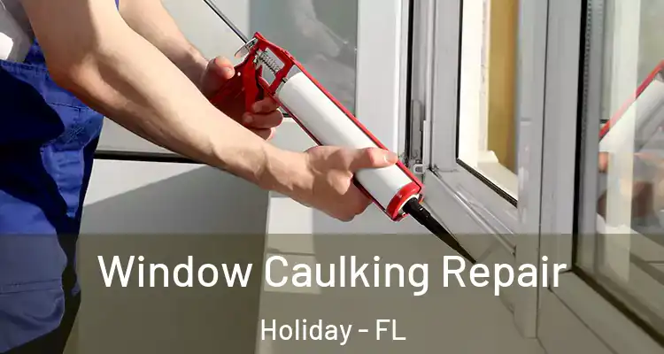  Window Caulking Repair Holiday - FL