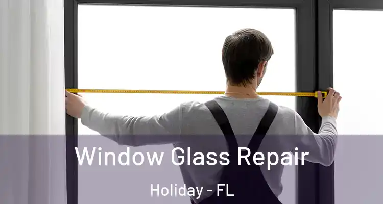  Window Glass Repair Holiday - FL