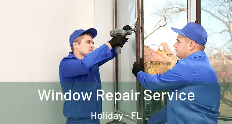  Window Repair Service Holiday - FL
