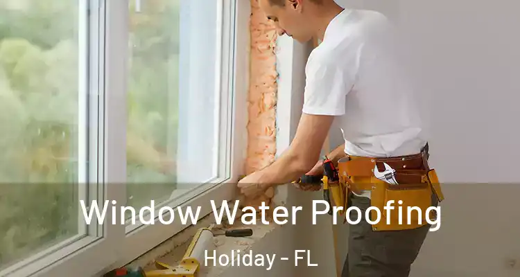  Window Water Proofing Holiday - FL