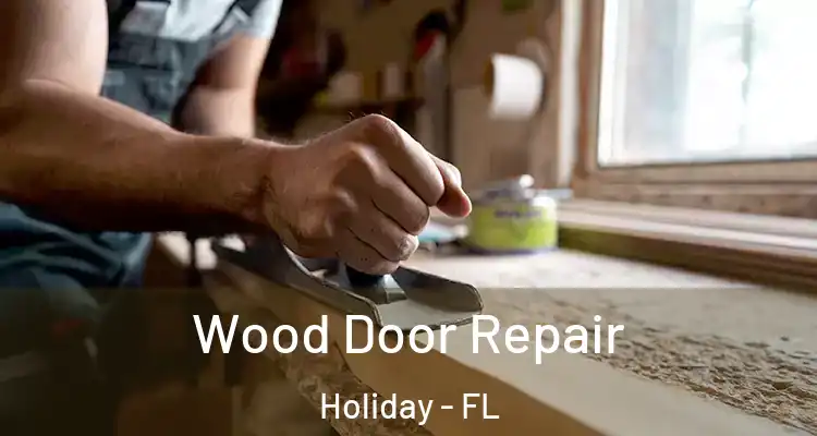  Wood Door Repair Holiday - FL